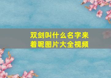 双剑叫什么名字来着呢图片大全视频