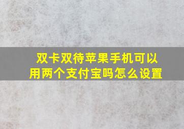 双卡双待苹果手机可以用两个支付宝吗怎么设置