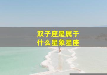 双子座是属于什么星象星座