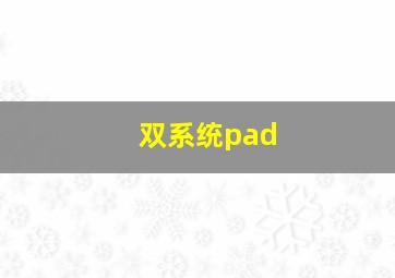 双系统pad