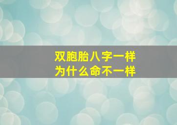 双胞胎八字一样为什么命不一样