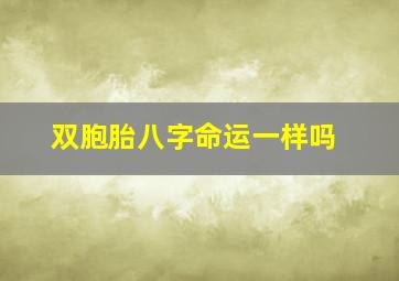 双胞胎八字命运一样吗