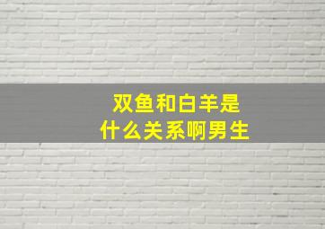 双鱼和白羊是什么关系啊男生