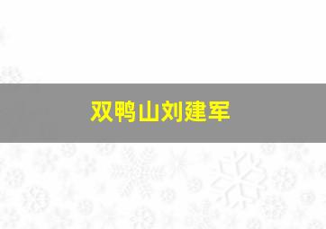 双鸭山刘建军