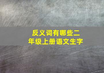 反义词有哪些二年级上册语文生字