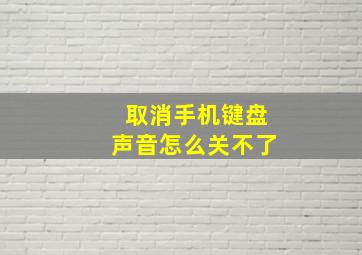 取消手机键盘声音怎么关不了