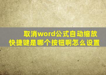 取消word公式自动缩放快捷键是哪个按钮啊怎么设置