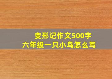 变形记作文500字六年级一只小鸟怎么写