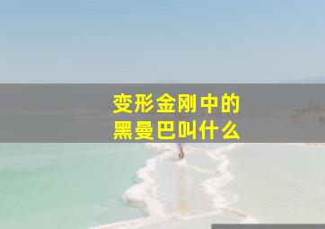 变形金刚中的黑曼巴叫什么