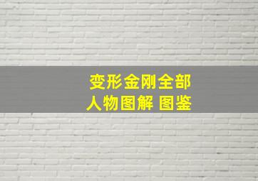 变形金刚全部人物图解 图鉴