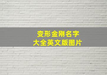 变形金刚名字大全英文版图片