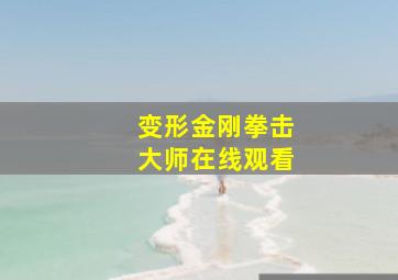 变形金刚拳击大师在线观看