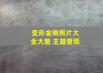 变形金刚照片大全大图 主题壁纸