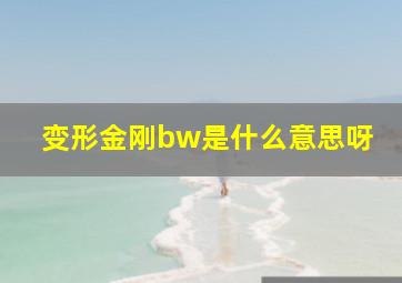 变形金刚bw是什么意思呀