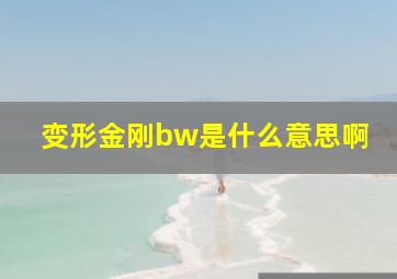 变形金刚bw是什么意思啊