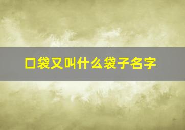 口袋又叫什么袋子名字