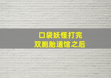 口袋妖怪打完双胞胎道馆之后