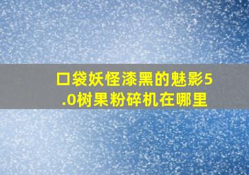 口袋妖怪漆黑的魅影5.0树果粉碎机在哪里