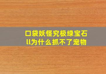 口袋妖怪究极绿宝石ll为什么抓不了宠物