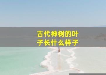 古代神树的叶子长什么样子