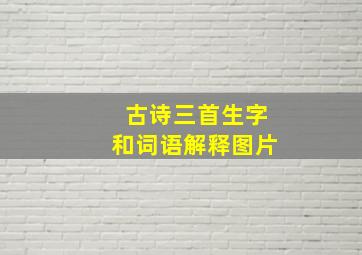 古诗三首生字和词语解释图片