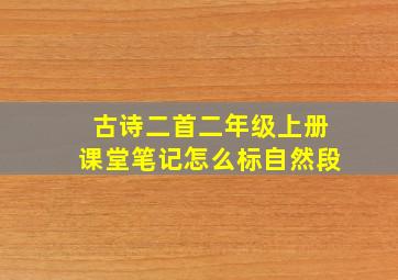 古诗二首二年级上册课堂笔记怎么标自然段