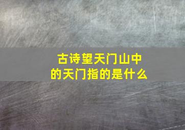 古诗望天门山中的天门指的是什么