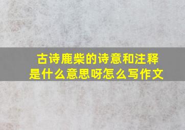 古诗鹿柴的诗意和注释是什么意思呀怎么写作文