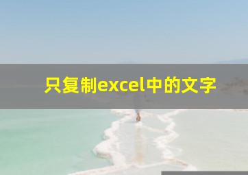 只复制excel中的文字