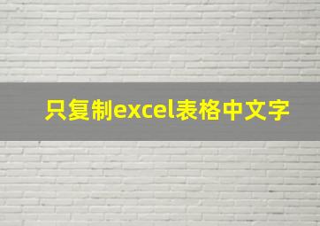 只复制excel表格中文字