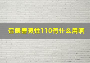 召唤兽灵性110有什么用啊