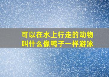 可以在水上行走的动物叫什么像鸭子一样游泳