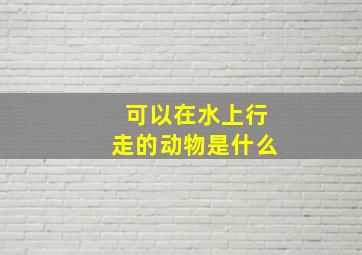 可以在水上行走的动物是什么