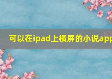 可以在ipad上横屏的小说app