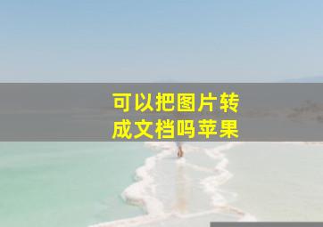 可以把图片转成文档吗苹果