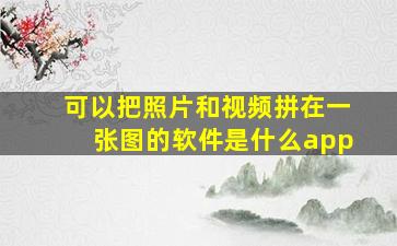 可以把照片和视频拼在一张图的软件是什么app