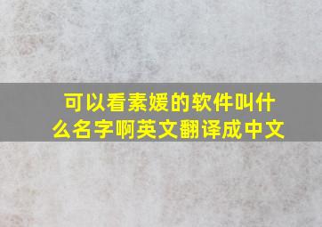 可以看素媛的软件叫什么名字啊英文翻译成中文