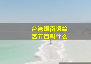 台湾闽南语综艺节目叫什么