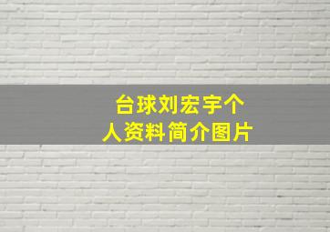 台球刘宏宇个人资料简介图片