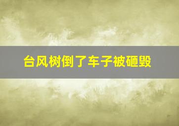 台风树倒了车子被砸毁