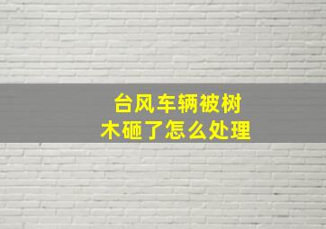 台风车辆被树木砸了怎么处理