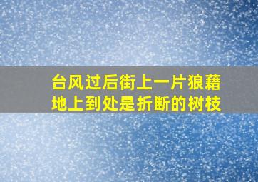 台风过后街上一片狼藉地上到处是折断的树枝