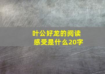 叶公好龙的阅读感受是什么20字