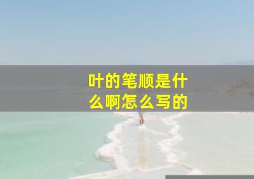 叶的笔顺是什么啊怎么写的