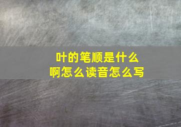 叶的笔顺是什么啊怎么读音怎么写