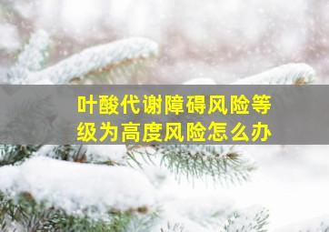 叶酸代谢障碍风险等级为高度风险怎么办