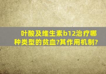 叶酸及维生素b12治疗哪种类型的贫血?其作用机制?