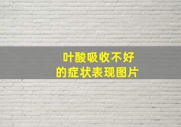 叶酸吸收不好的症状表现图片