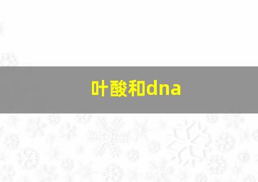 叶酸和dna