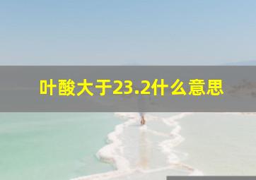 叶酸大于23.2什么意思